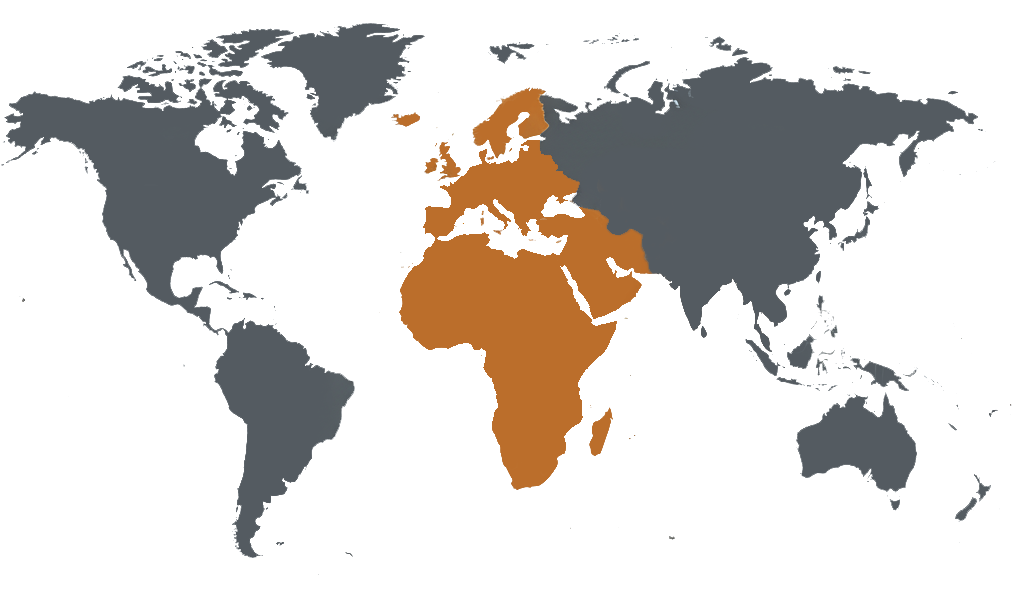 World coverage map showing primary service areas in Middle East, Europe, and Africa